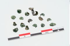 Foto von Bronzeknopf (NHMW-PRAE-024902)